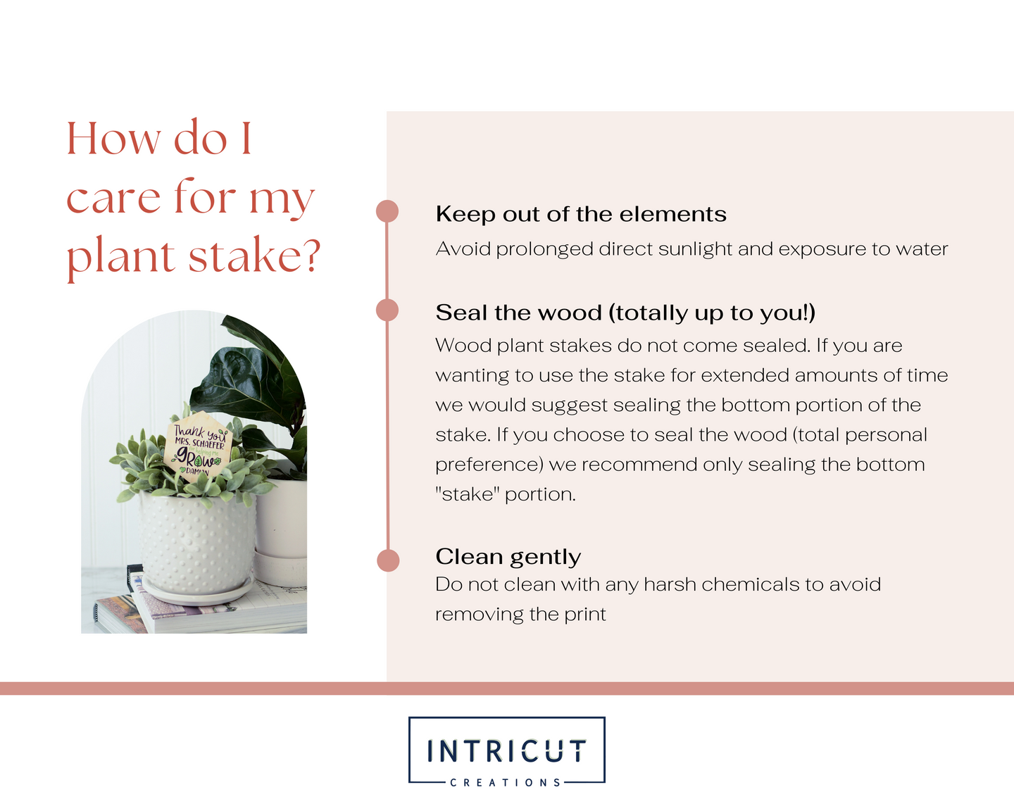 how do I care for my plant stake